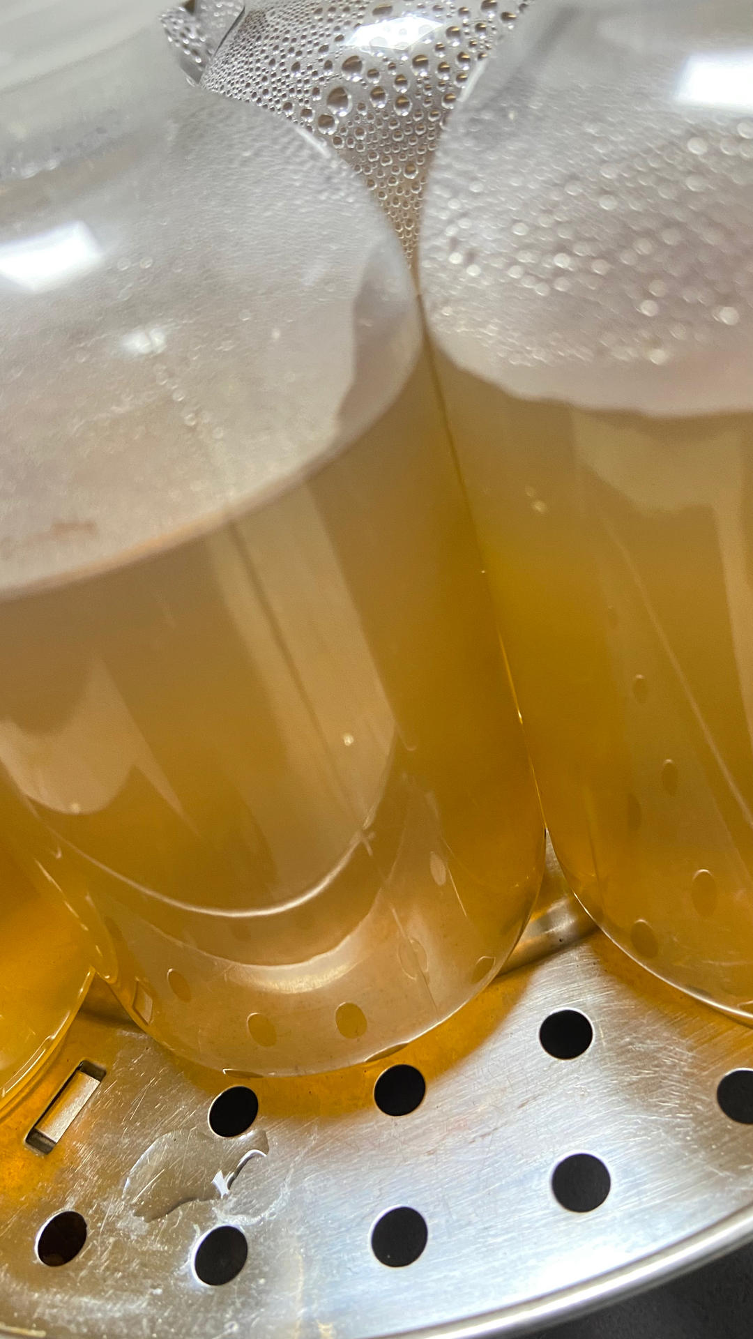 海底椰菊花雪梨膏(清热解毒)
