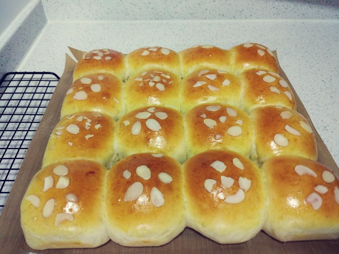 鲜奶油小餐包（一次发酵）