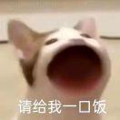 徐耗子