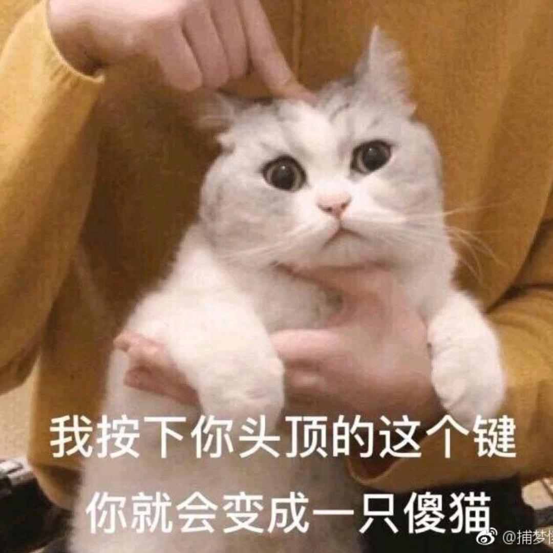 九er九之