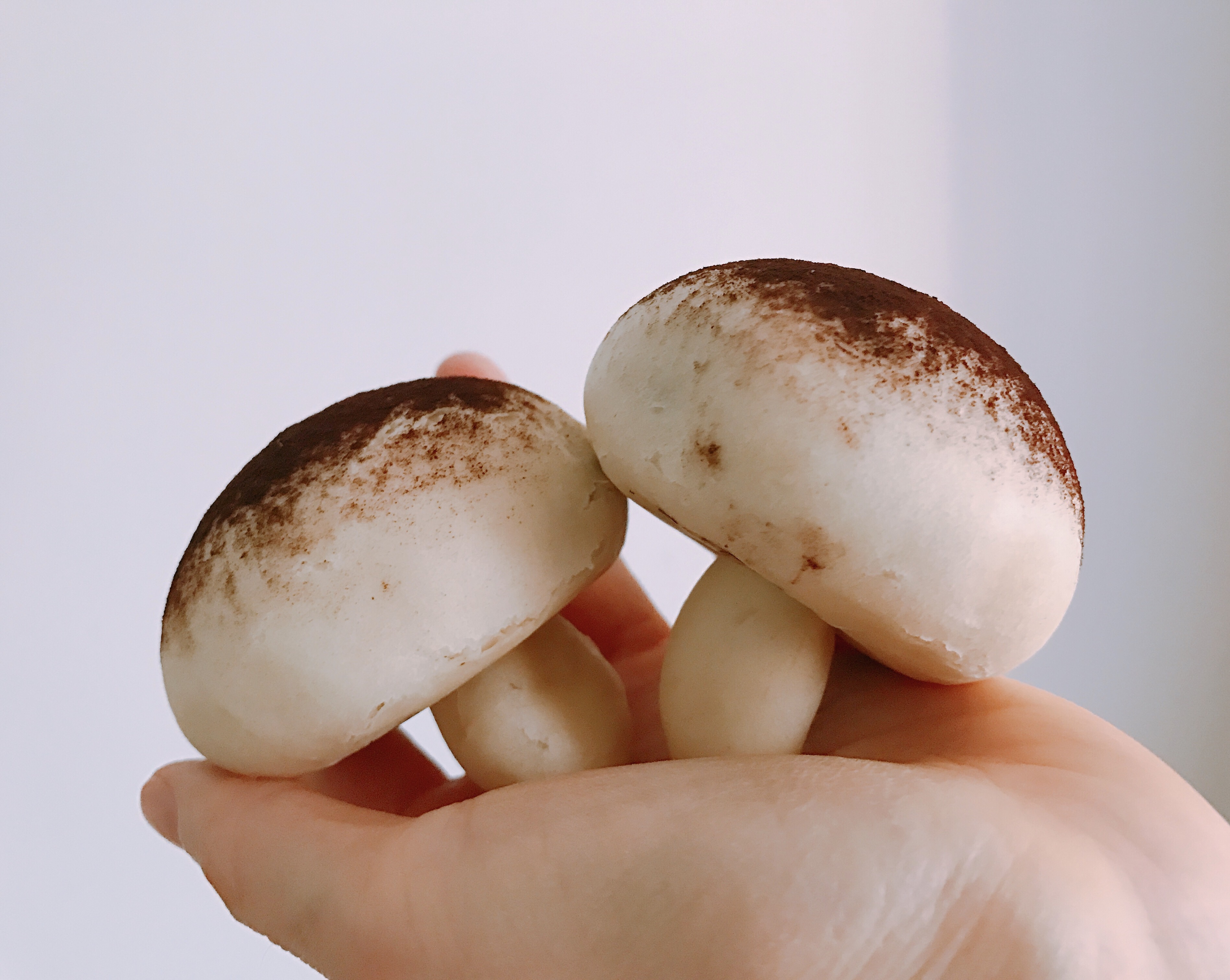 小蘑菇豆沙包