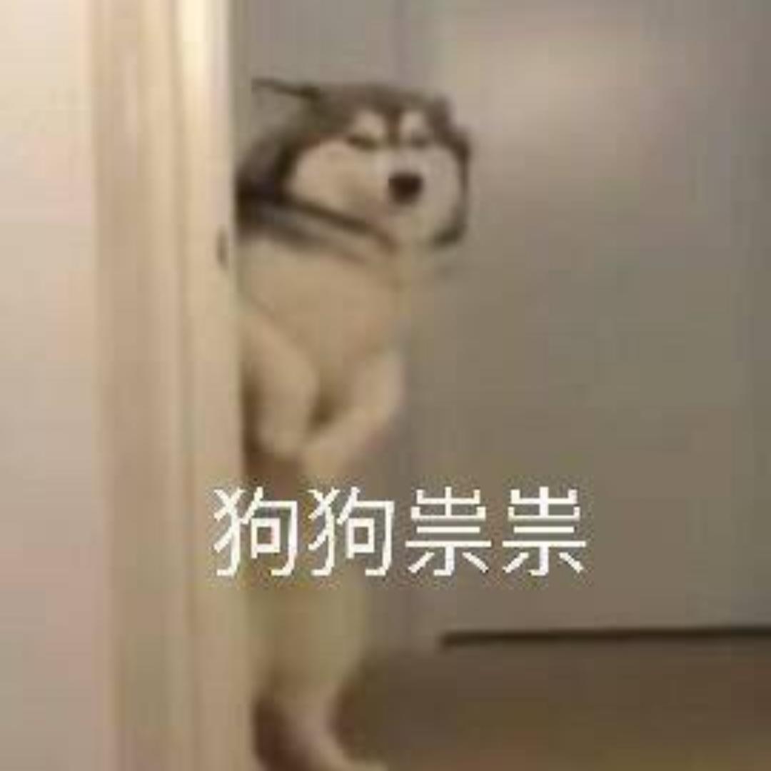 米小可coco
