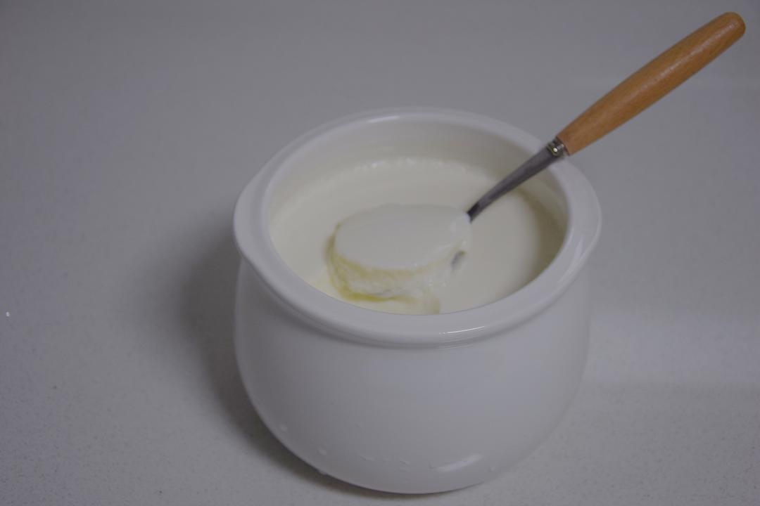 自制浓厚老酸奶＆希腊酸奶