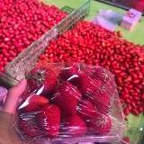 郝大一只购物狂