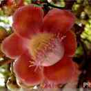 手機(jī)用戶(hù)6980_r04o