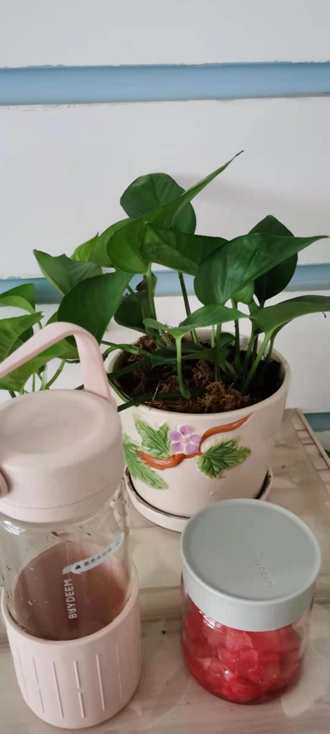 香蕉派【7月北鼎烤箱食谱】