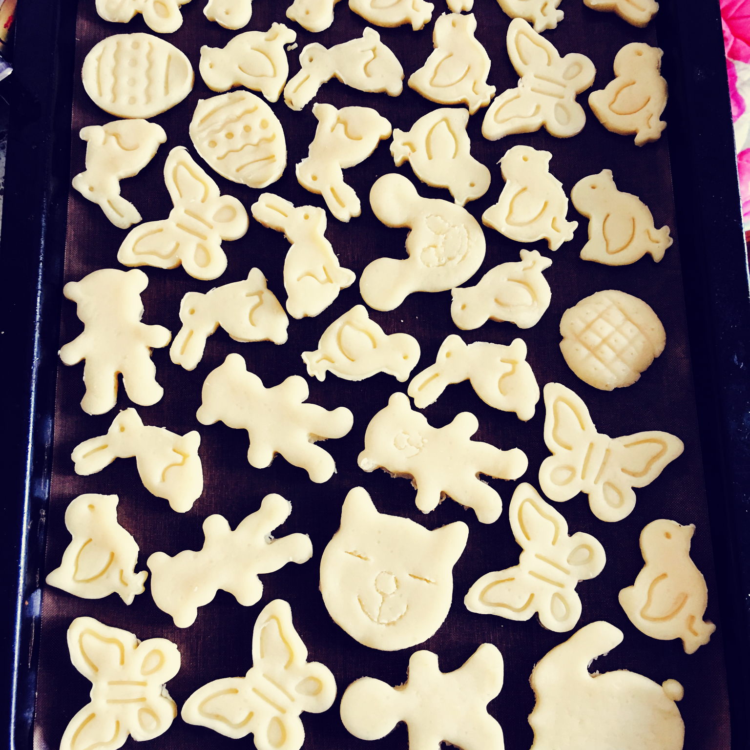 牛奶方块小饼干