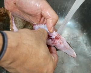 日式昆布腌比目鱼刺身的做法 步骤2