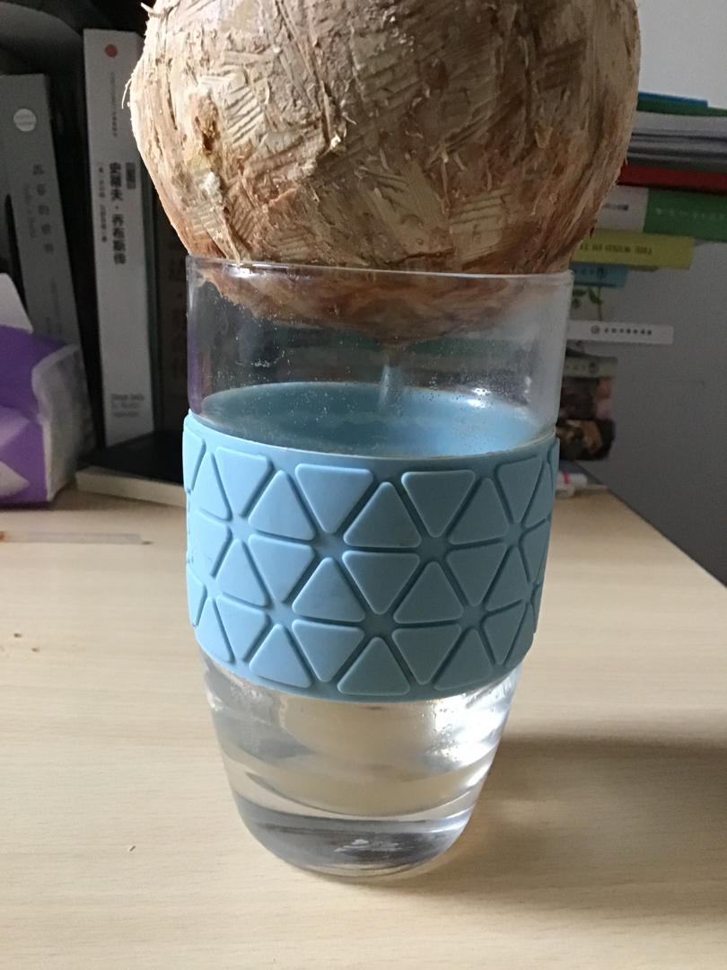 刘贤龙做的咖啡馆新宠冰博克牛奶05