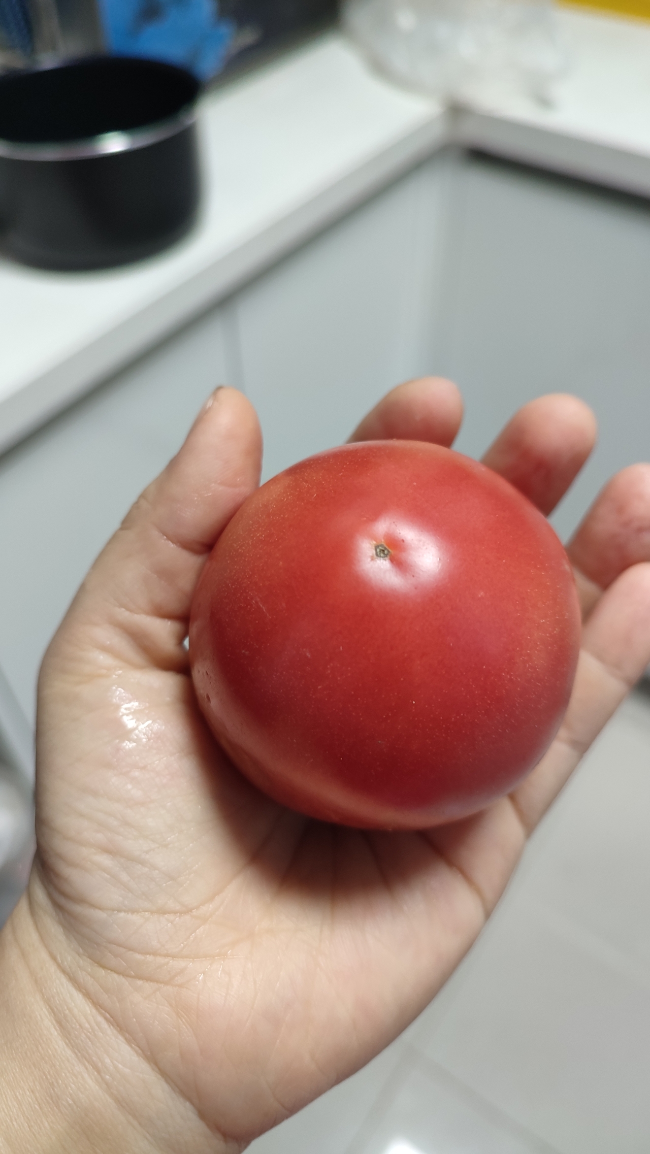 如何给西红柿🍅剥皮的做法