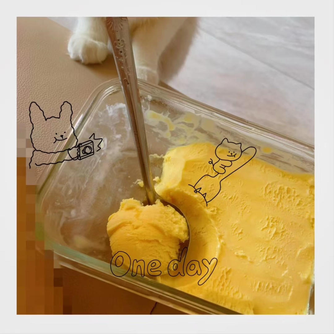 自制哈根达斯风味的冰淇淋