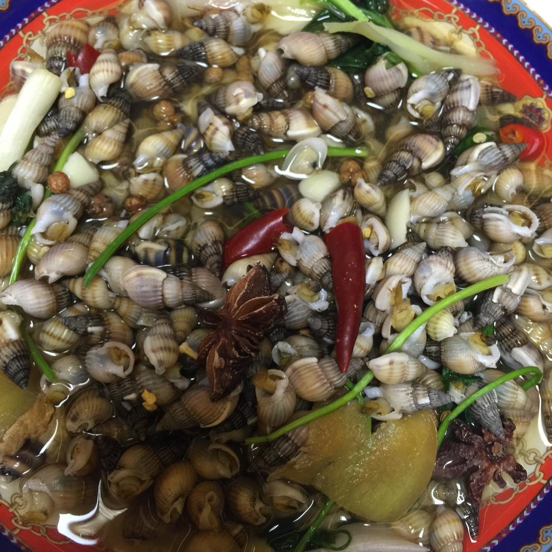 辣炒海瓜子 海锥