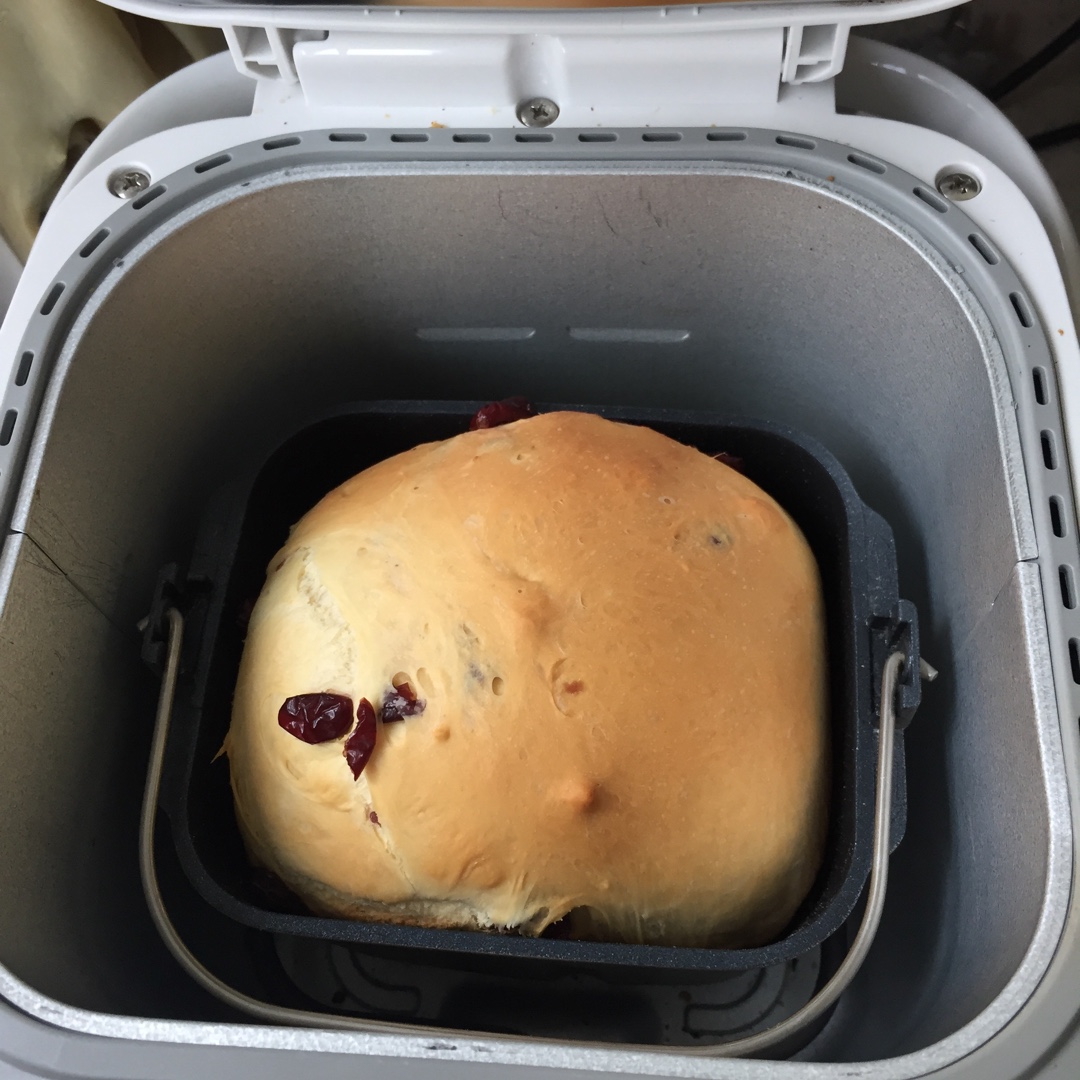 奶油庞多米－松下PT1000面包机