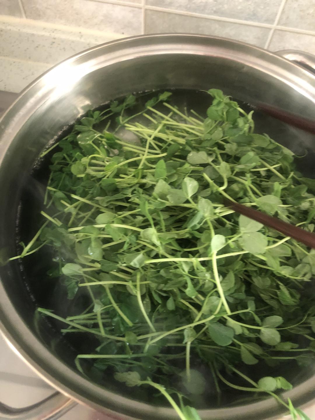 超简单的炝拌爽口豌豆芽苗菜的做法步骤图 藍月亮 下厨房