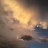 宝宝抱抱1101