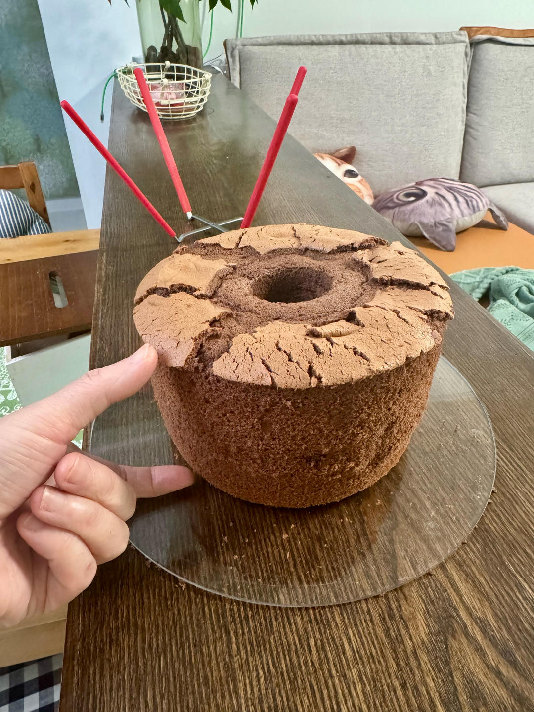 巧克力戚风蛋糕。风味浓郁不消泡，超详细做法