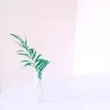 ___Siro_L