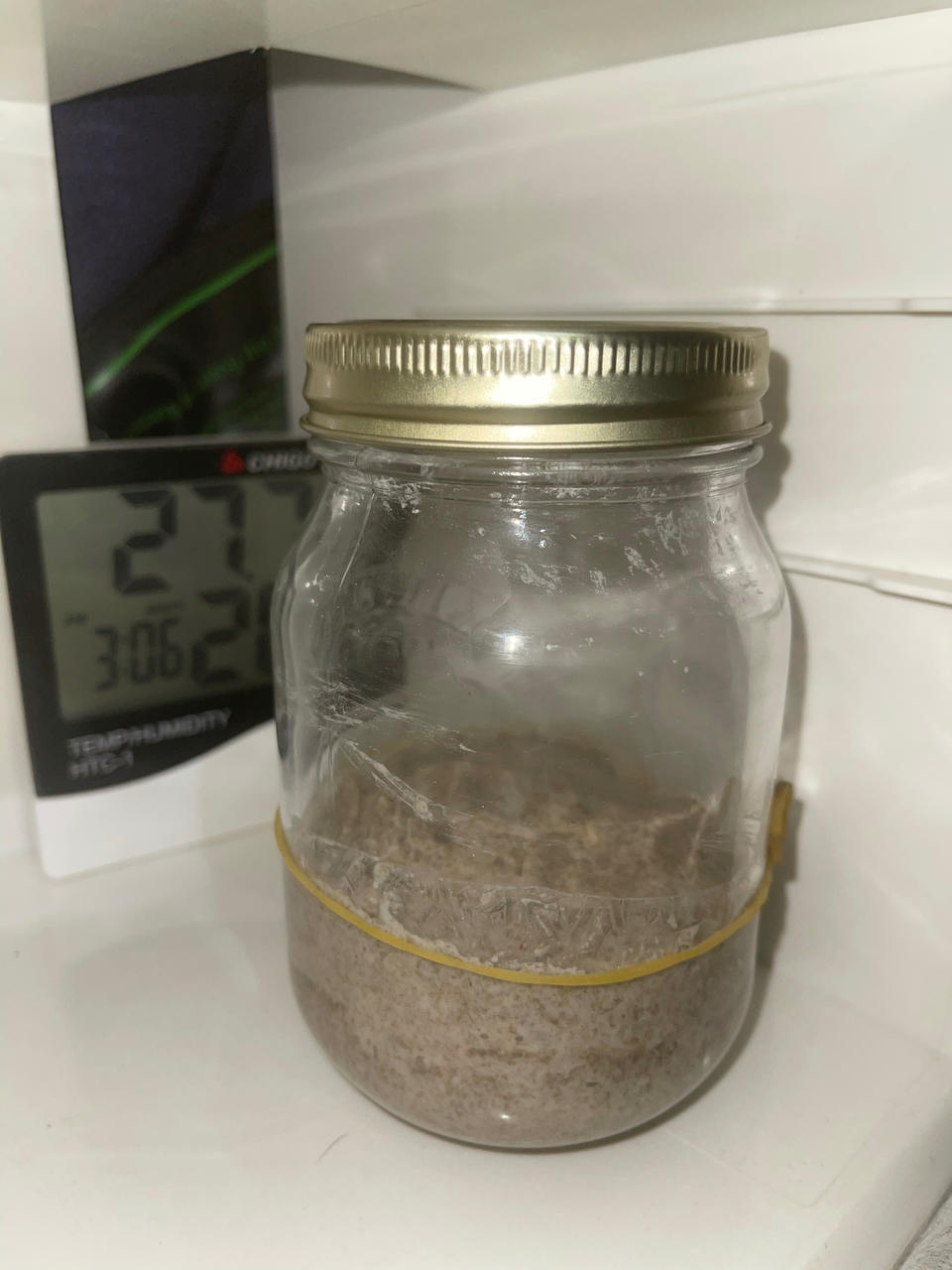 天然酵种、鲁邦种         （黑裸麦起种）