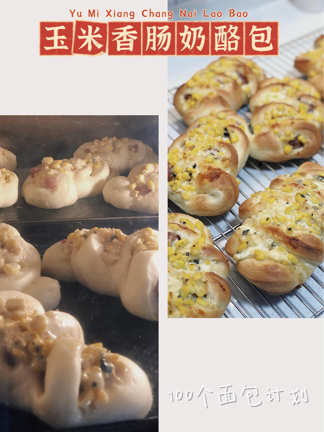 甜面包和吐司万用面团