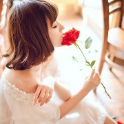 矢车菊的巧克力糖