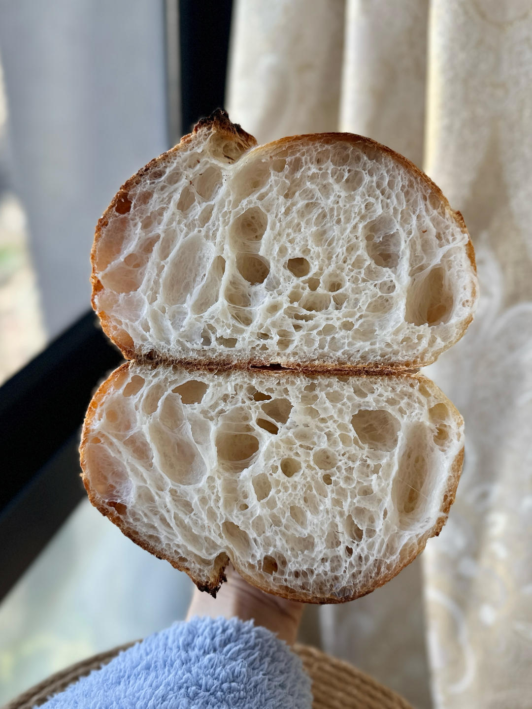 一起玩天然酵种欧包（11. 02更新）