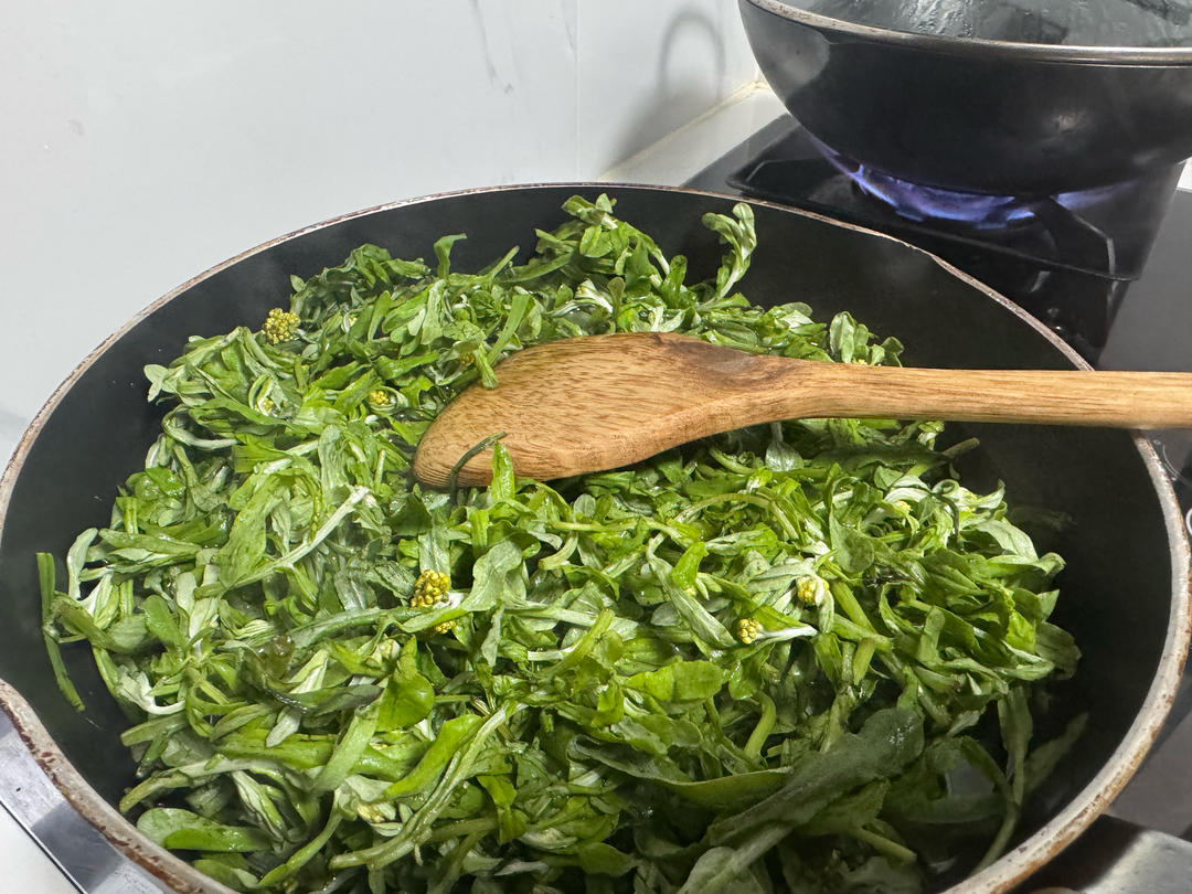 鼠曲草白头瓮清明团团