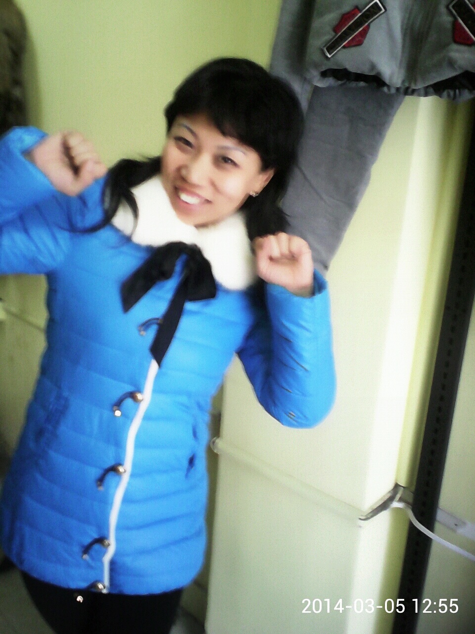 北冰洋的极地企鹅