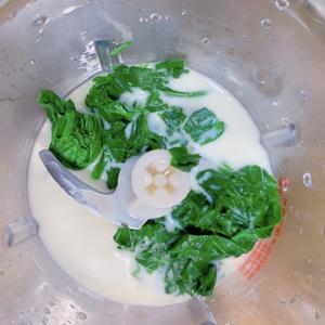 奶香菠菜三文鱼意面(一岁内宝宝辅食)的做法 步骤3
