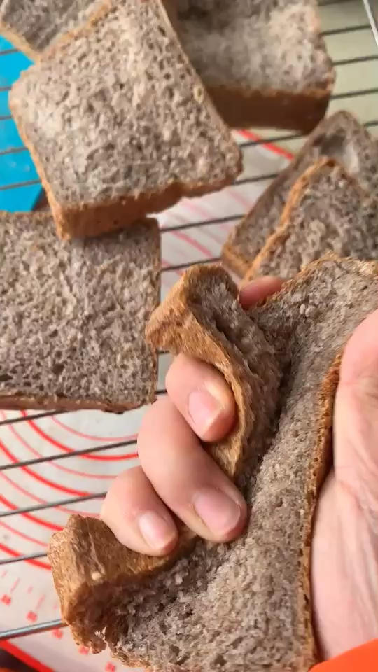 手揉波兰种黑麦(40%)吐司
