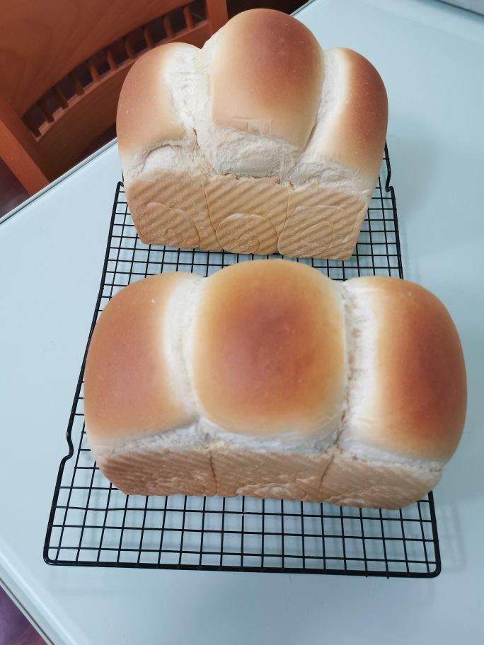 夺命软吐司(๑´ڡ`๑)超软拉丝极速方便的一次发酵吐司