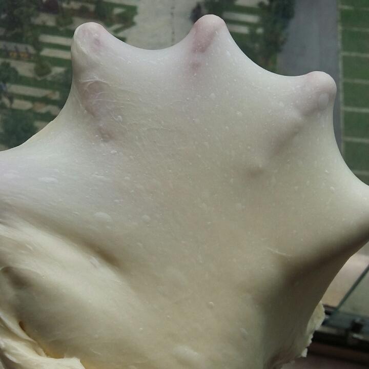 万用面包胚（冷藏中种法）