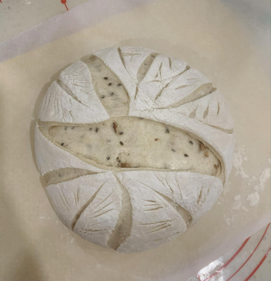 提子干全麦软欧包