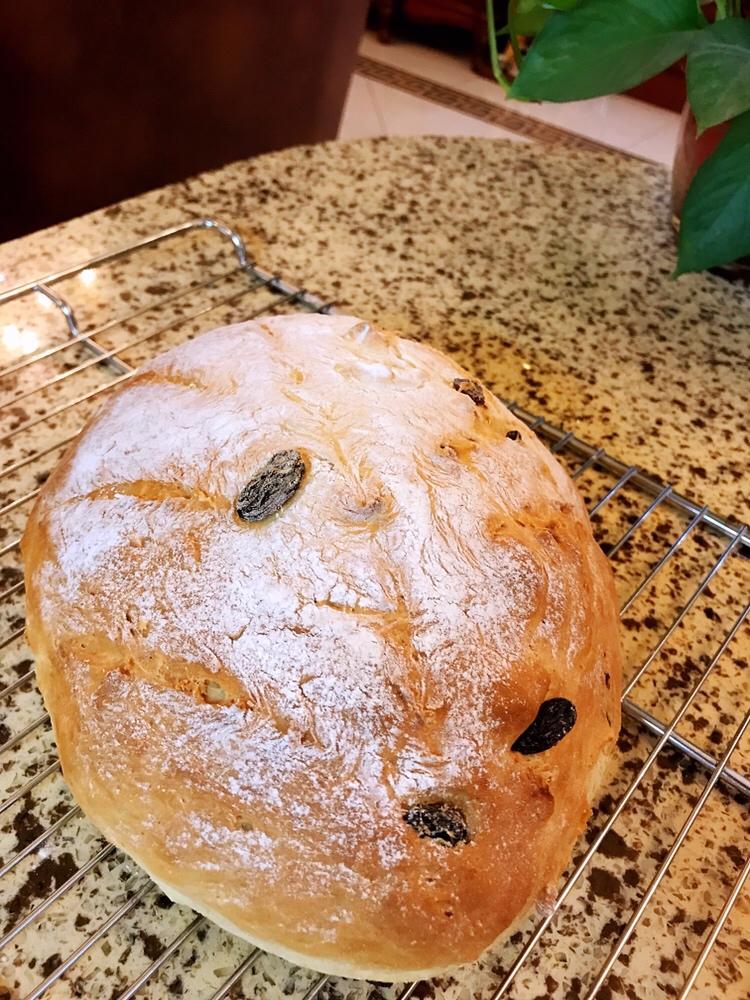 不需要出膜，只需一次发酵，超级简单、零失败的欧式大面包