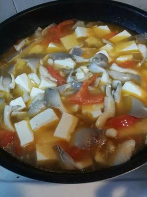 西红柿平菇豆腐汤的做法 步骤4
