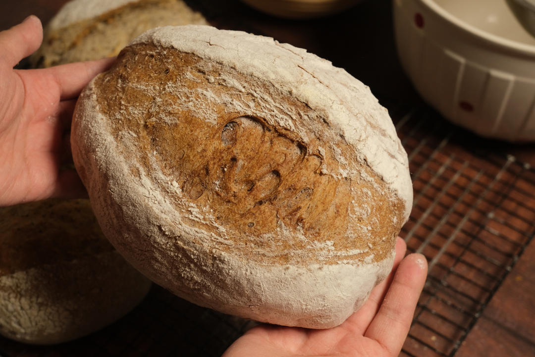 红酒桂圆软欧包