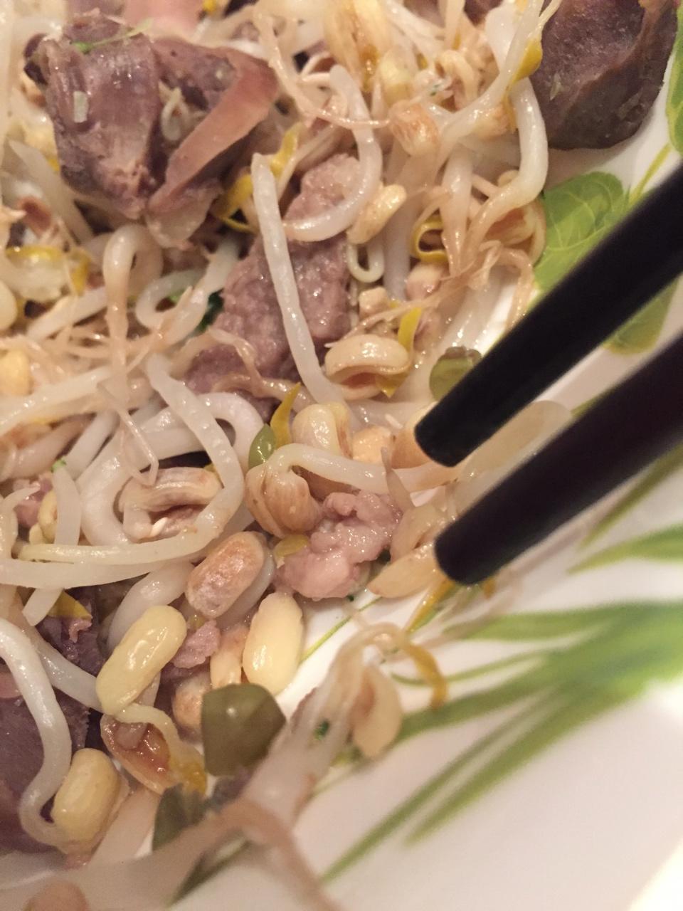 自发豆芽（可乐瓶发豆芽0失败！）