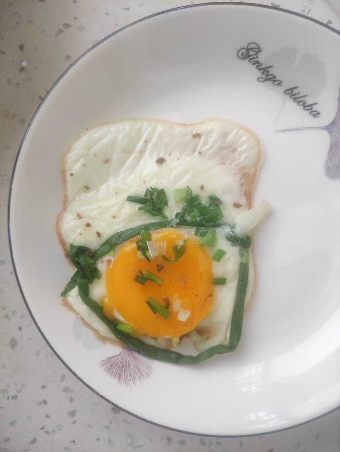 【熊记】太阳蛋