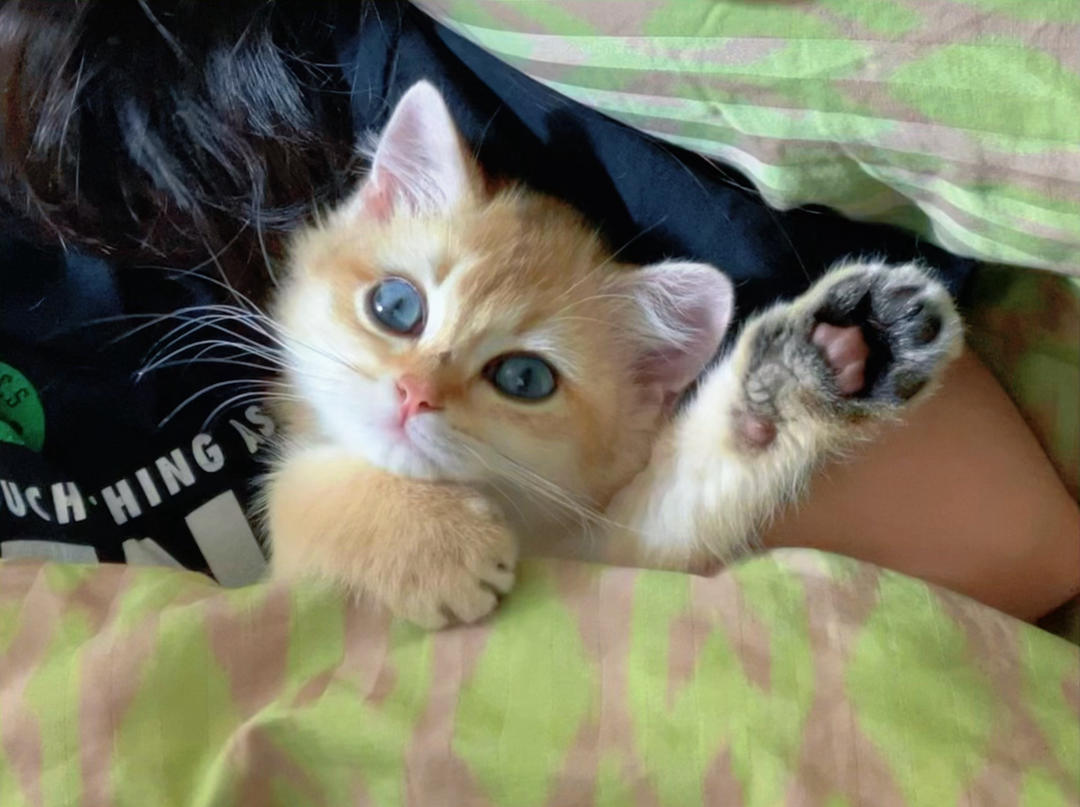 Rarri怎么又饿了