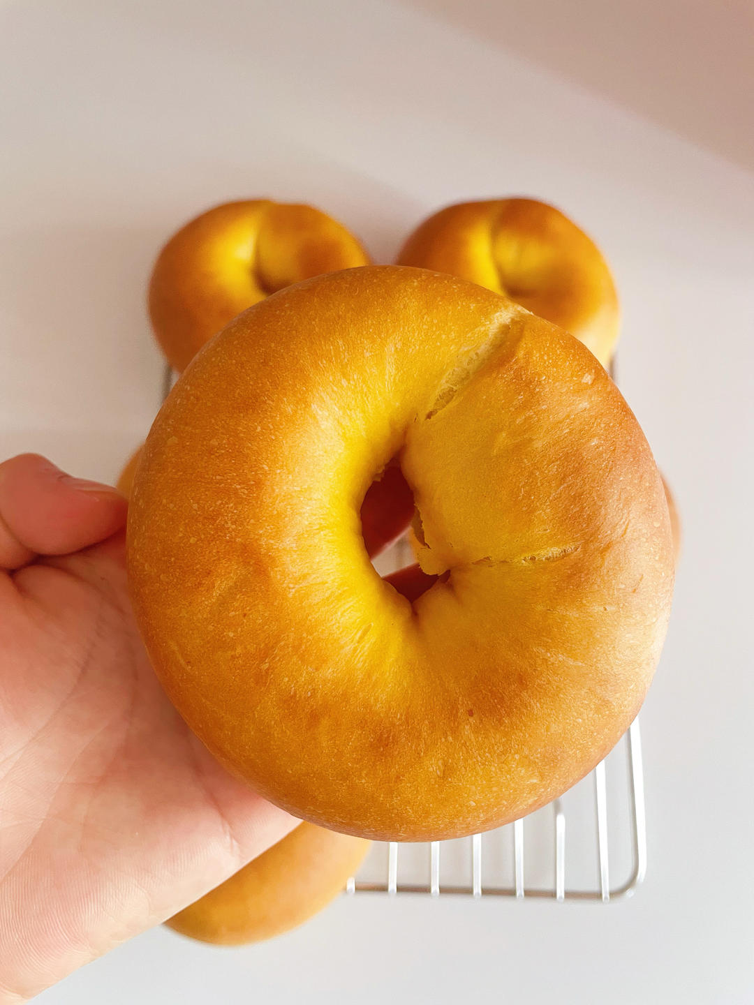 椰香南瓜乳酪贝果🎃属于秋天的暖色贝果