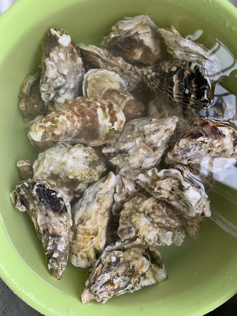 蒜蓉烤生蚝（烤箱版首发）