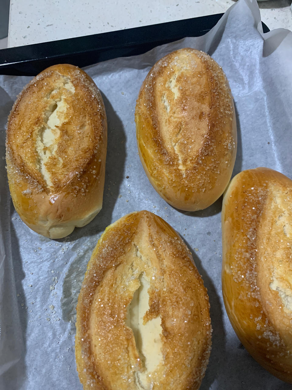 牛奶哈斯