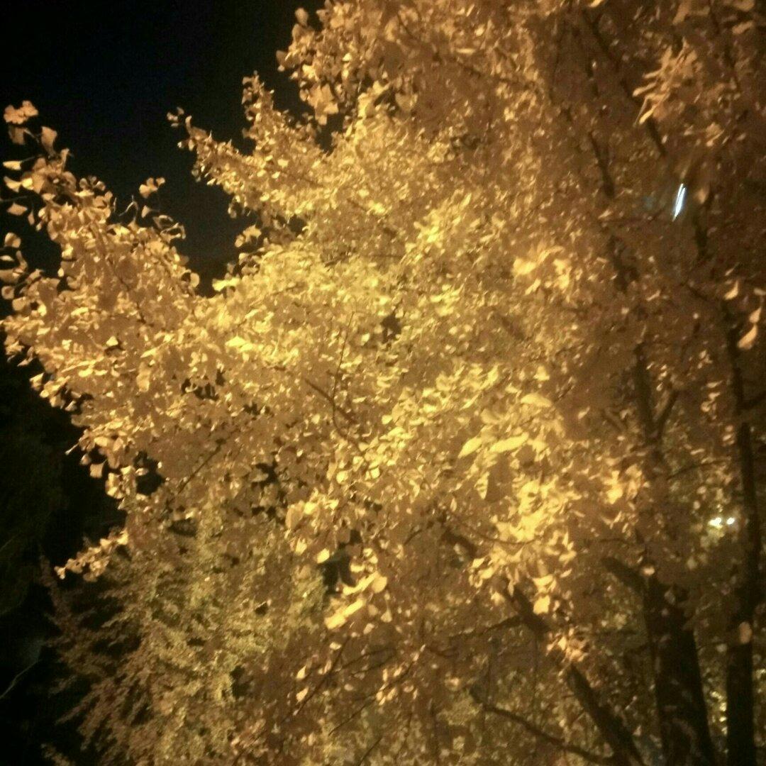 家有大大小小吃货