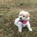 手机用户1222_xi04