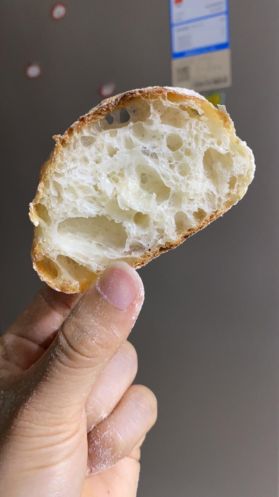 零机器免揉|徒手做出漂亮大气孔欧包|恰巴塔Ciabatta