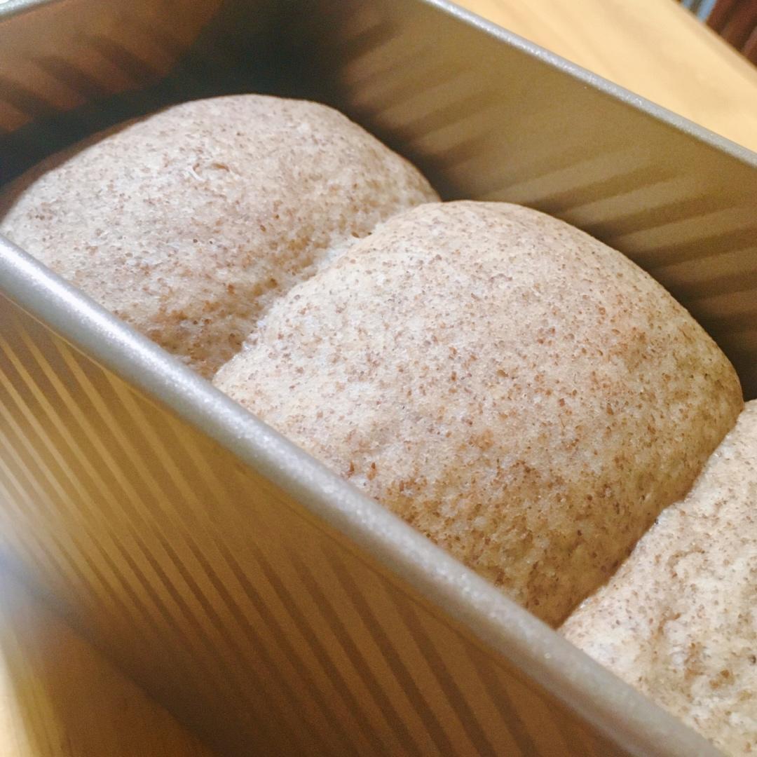 波兰种全麦吐司