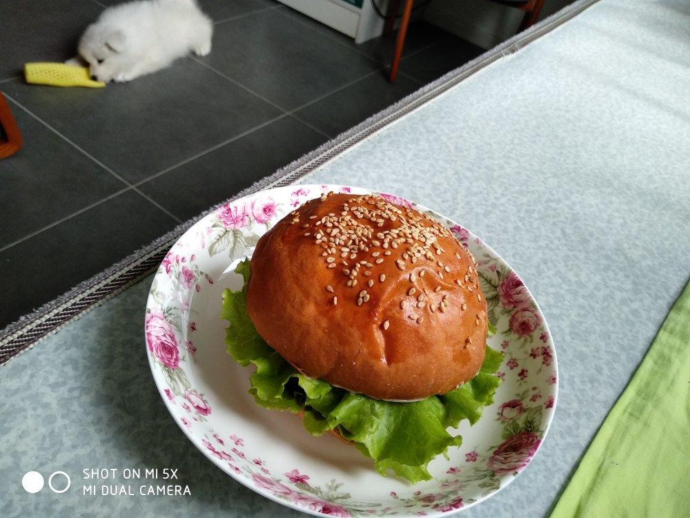 汉堡胚 poolish（波兰种）