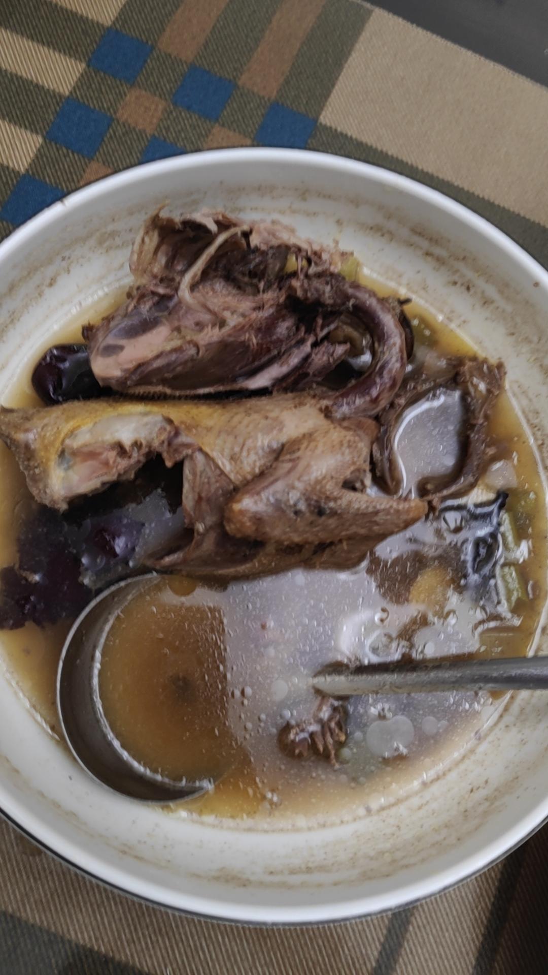 清炖鸽子汤（汤鲜肉嫩）