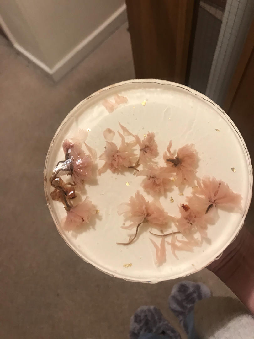 【樱花镜面蛋糕×樱花泡芙】