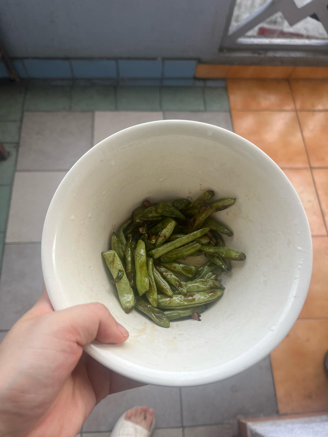 家庭版干煸豆角