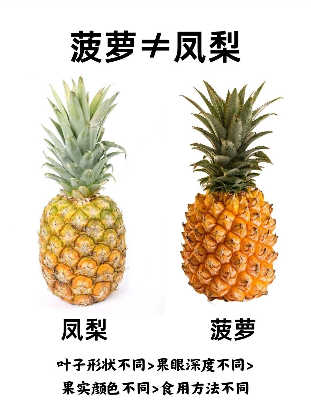 126 消耗凤梨菠萝的美食集锦，凤梨酥模具